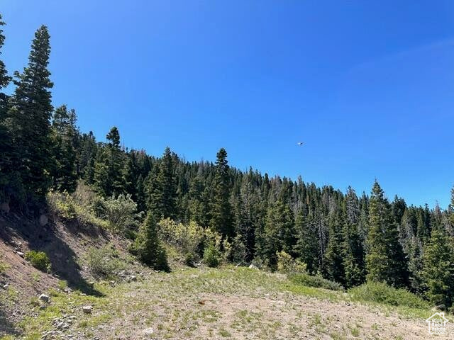 View of tree filled area