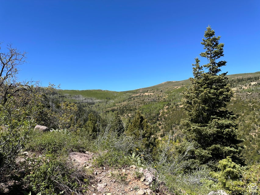 View of mountain backdrop featuring a heavily wooded area