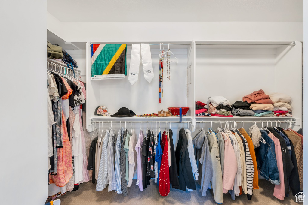 Spacious closet featuring carpet