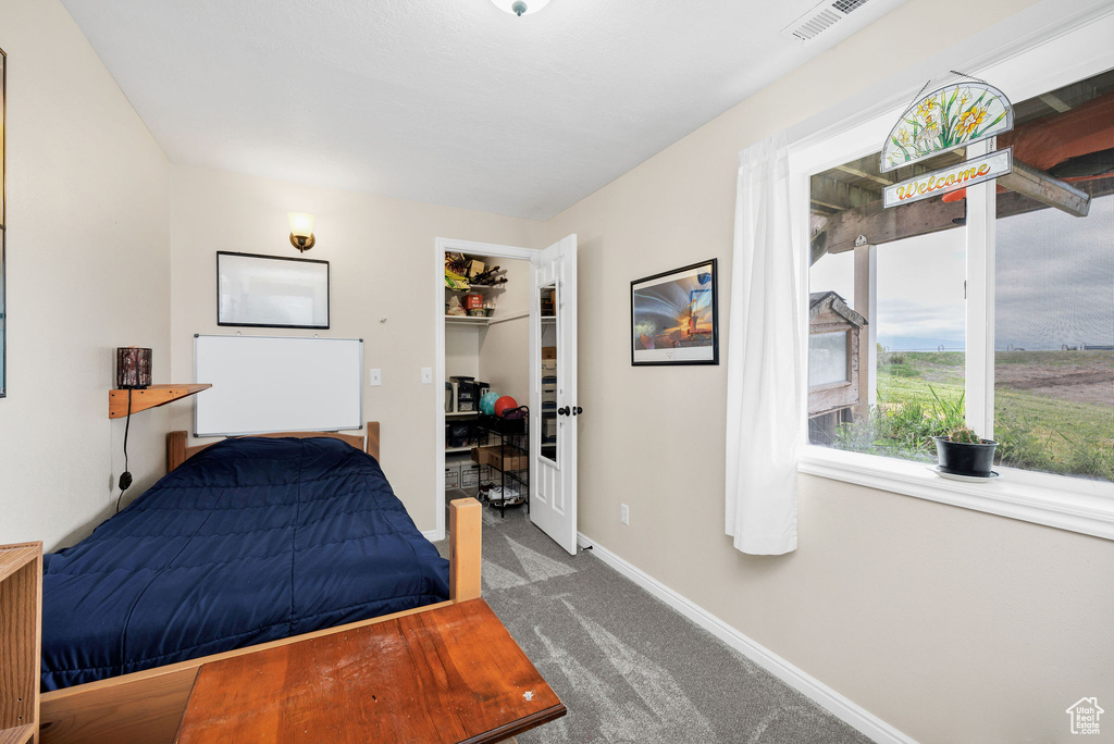 Carpeted bedroom with baseboards, a closet, and a spacious closet
