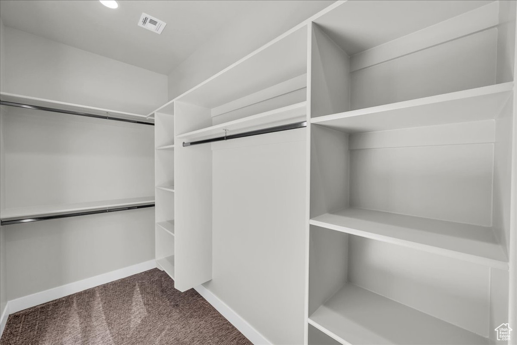 Walk in closet featuring carpet floors