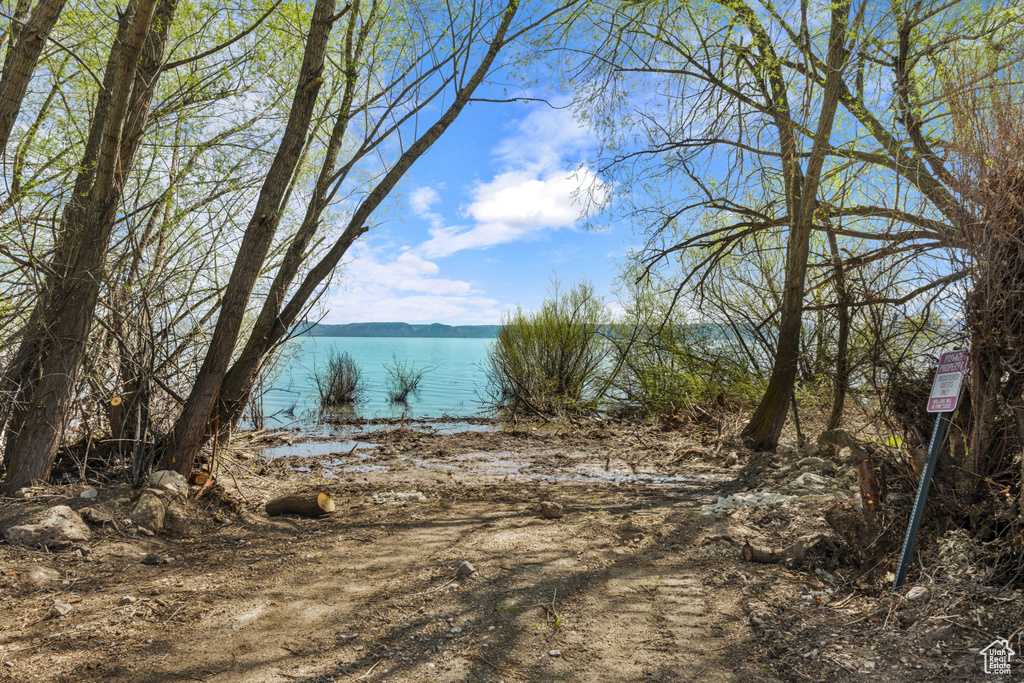 Water view
