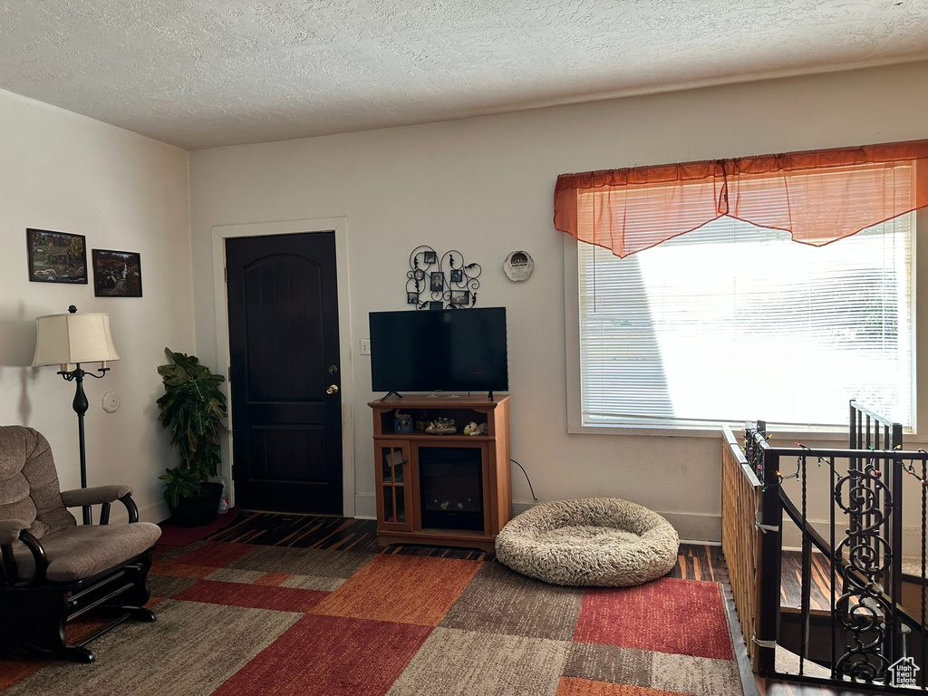 Living room with wood finished floors, baseboards, and a textured ceiling