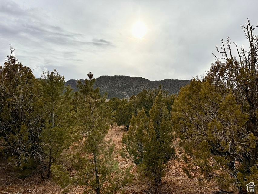 View of mountain background with a forest