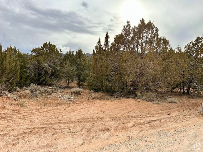 View of undeveloped land