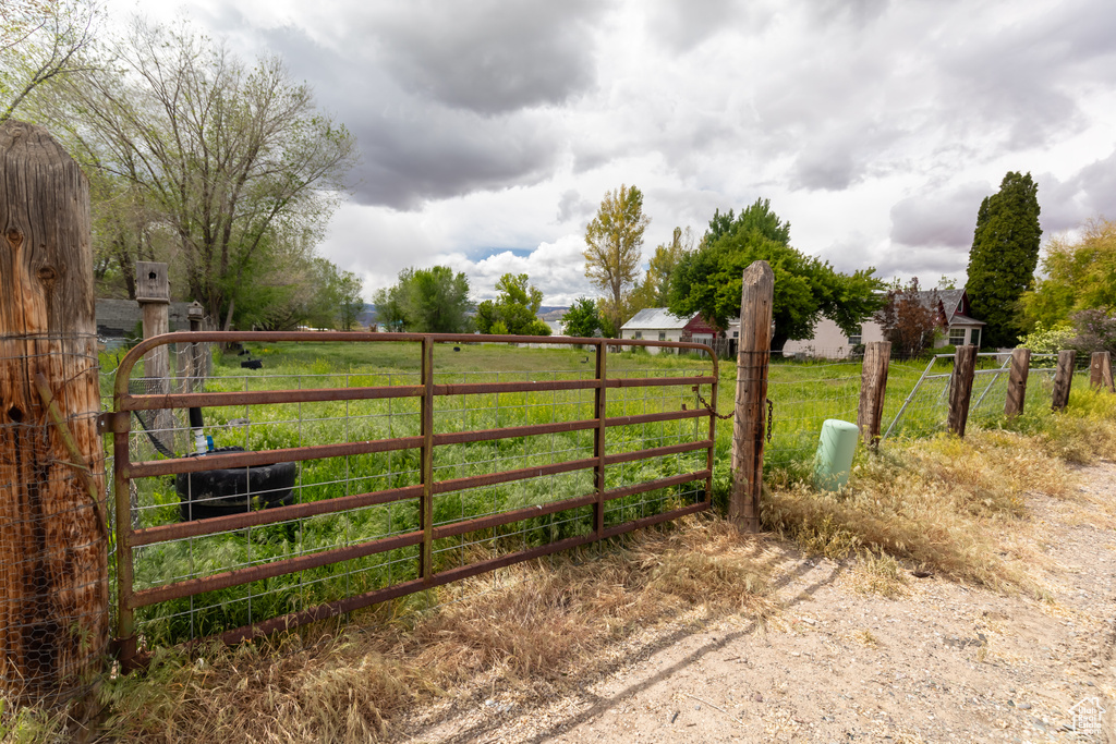 Gate with fence