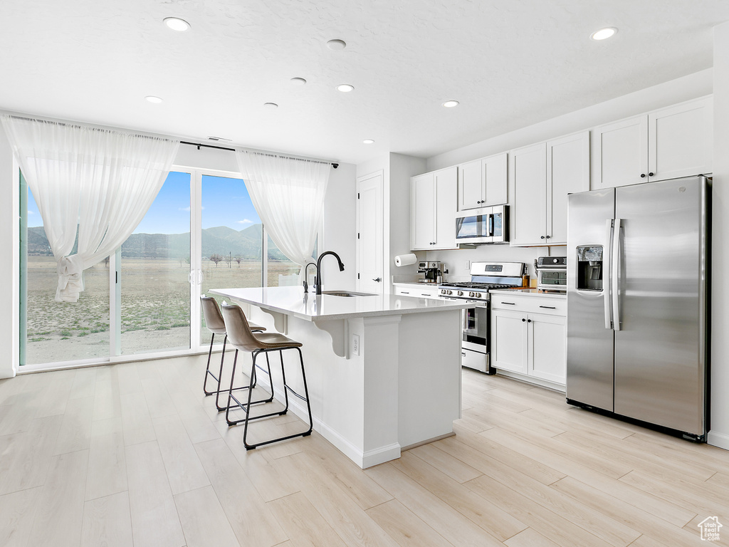 Kitchen with stainless steel appliances, a mountain view, light wood-style flooring, white cabinetry, and a kitchen island with sink