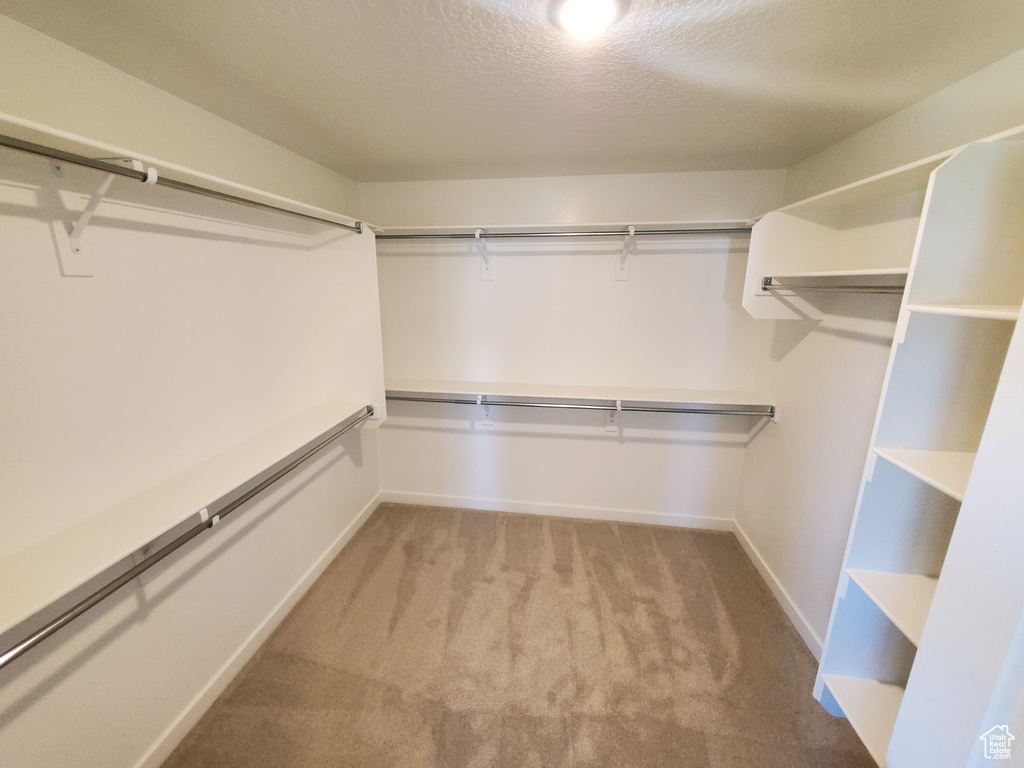 Walk in closet with carpet floors