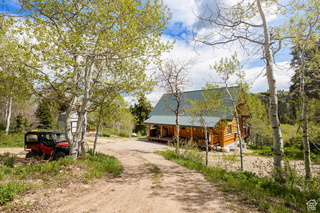 View of dirt / gravel driveway