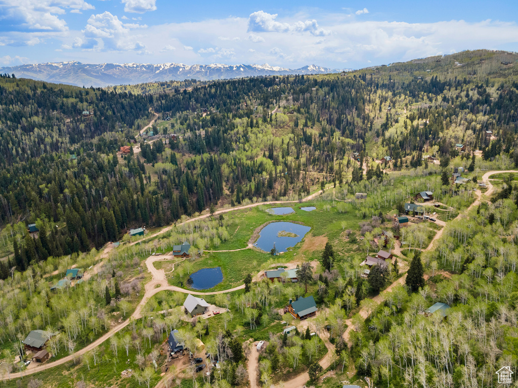 Aerial view of property\'s location featuring a heavily wooded area and a water and mountain view