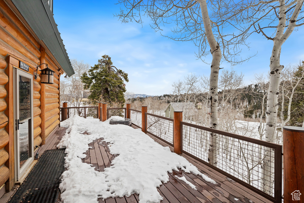 Yard layered in snow with a deck