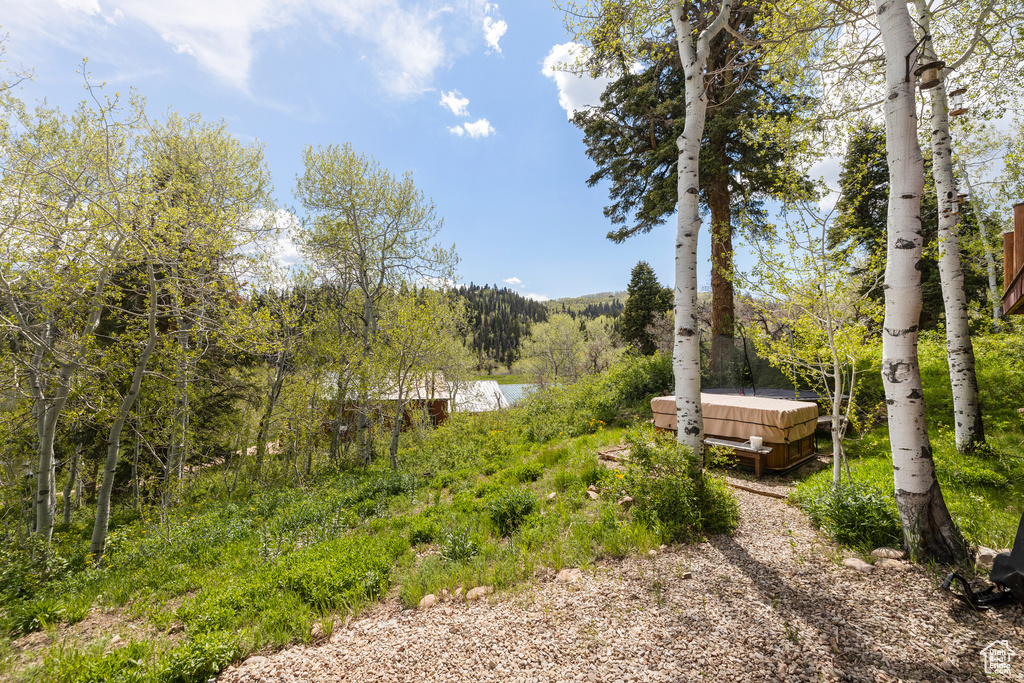 View of yard with a hot tub and a wooded view