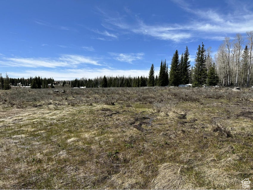 View of undeveloped land