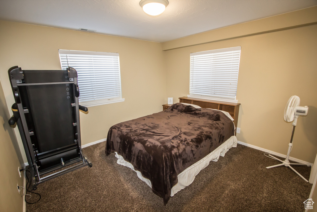 Carpeted bedroom with baseboards, visible vents, and multiple windows