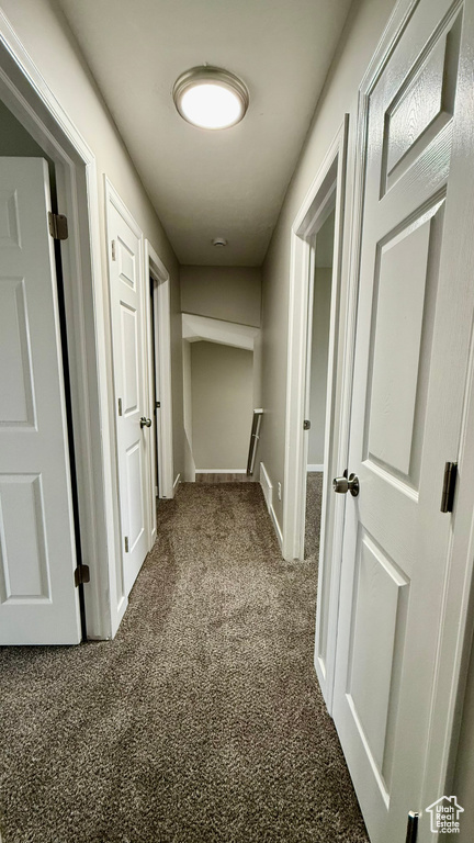 Hall with carpet and baseboards