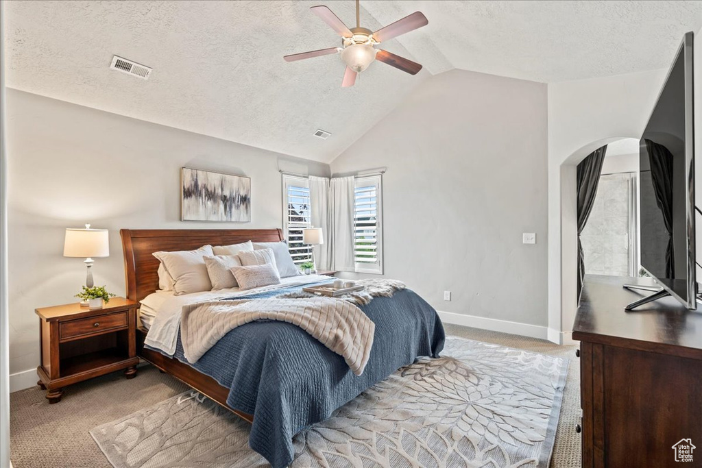 Bedroom with arched walkways, carpet, baseboards, lofted ceiling, and visible vents