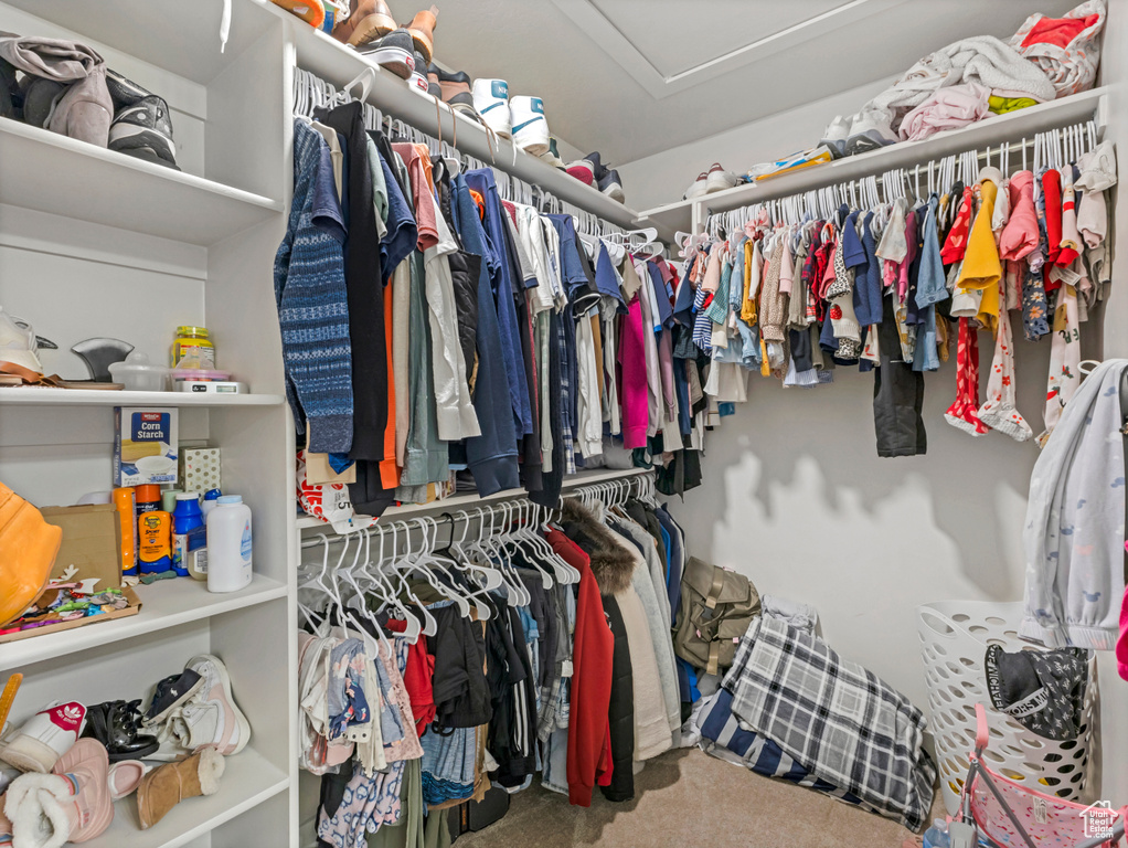 Walk in closet featuring carpet flooring and attic access