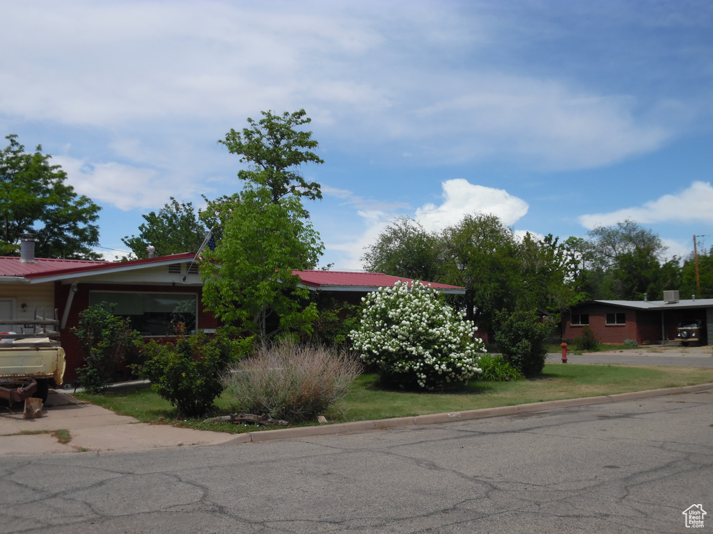 View of property hidden behind natural elements with metal roof