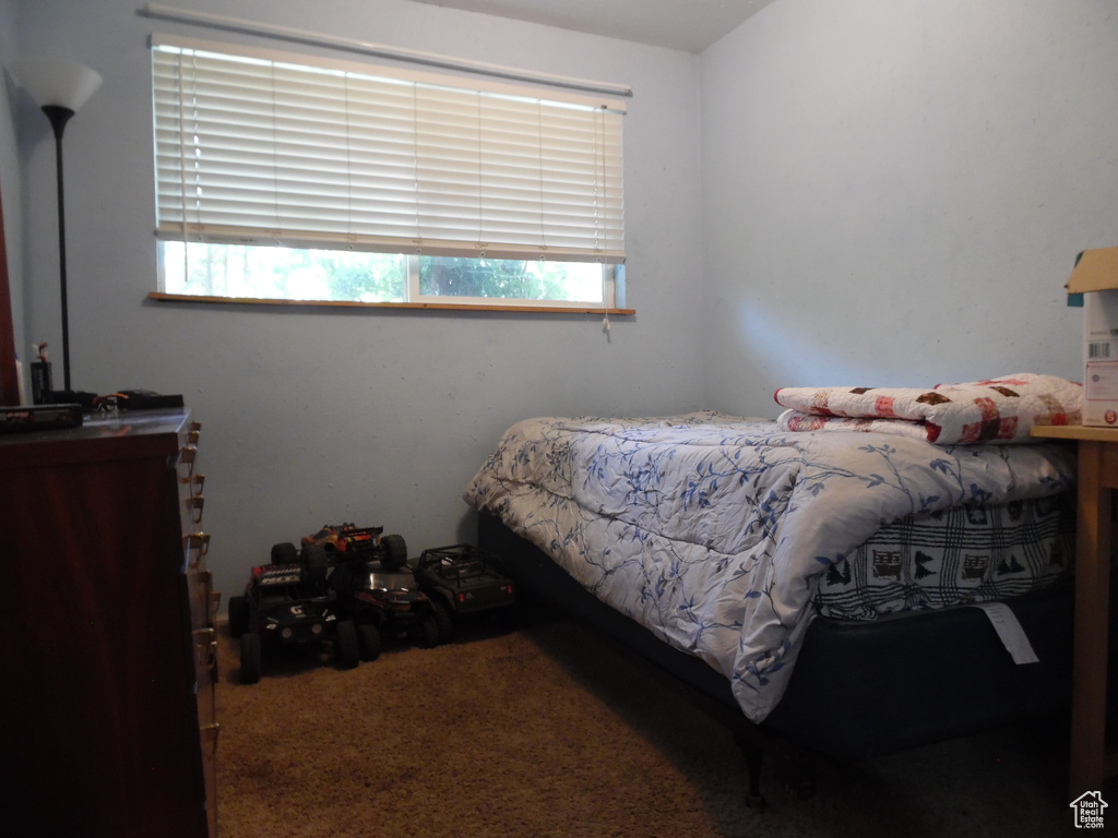 Bedroom featuring carpet floors