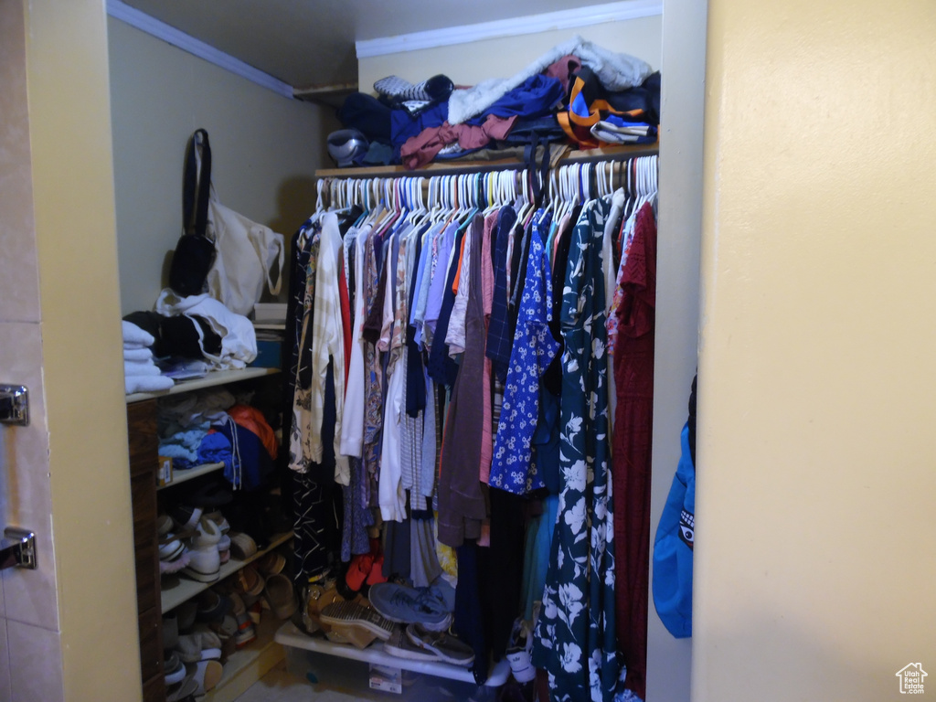 View of walk in closet