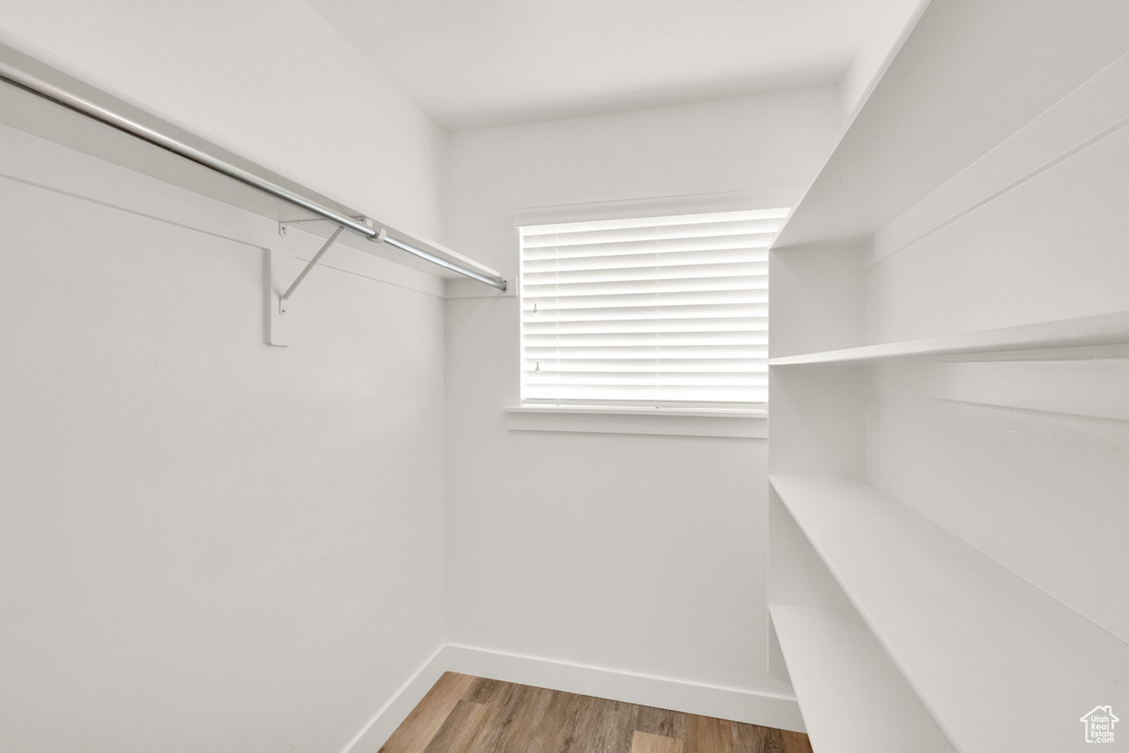 Spacious closet featuring light wood finished floors