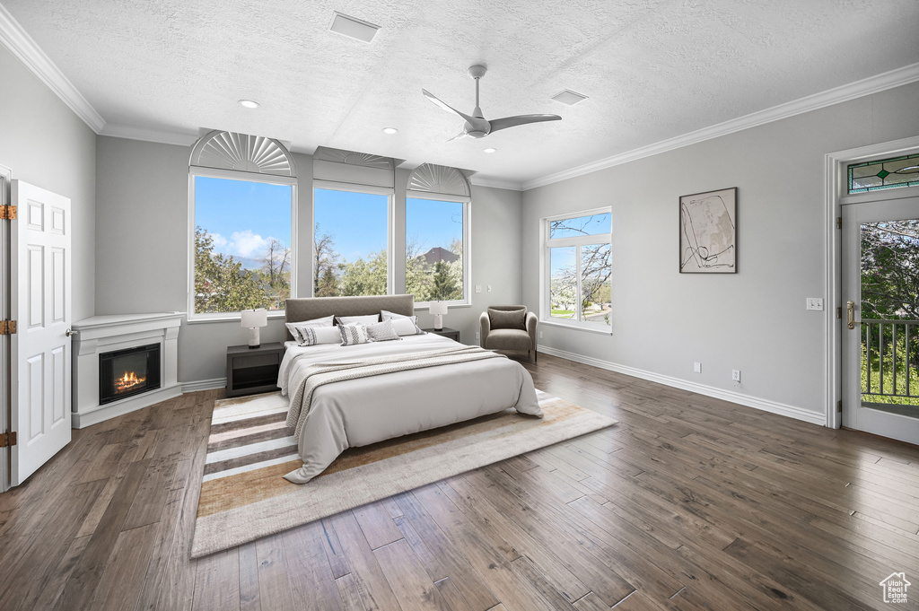 Bedroom with baseboards, dark wood finished floors, access to outside, and a textured ceiling