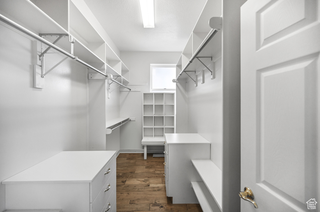 Walk in closet featuring dark wood finished floors