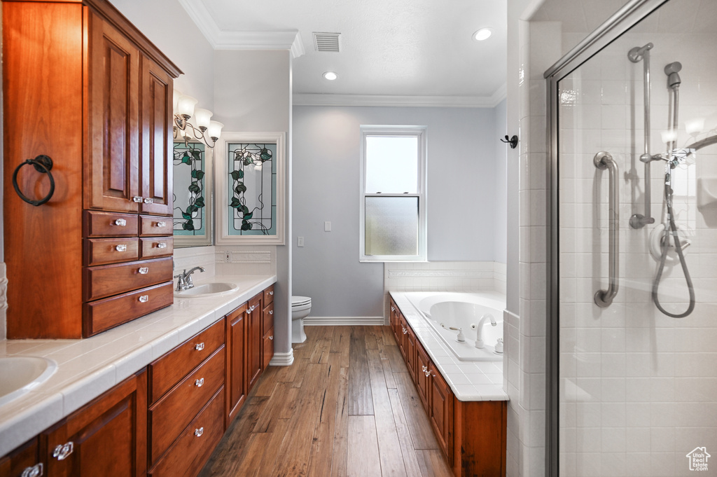 Bathroom featuring a stall shower, crown molding, a sink, and visible vents