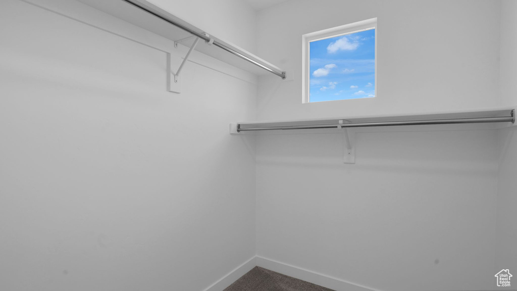 Spacious closet with dark carpet