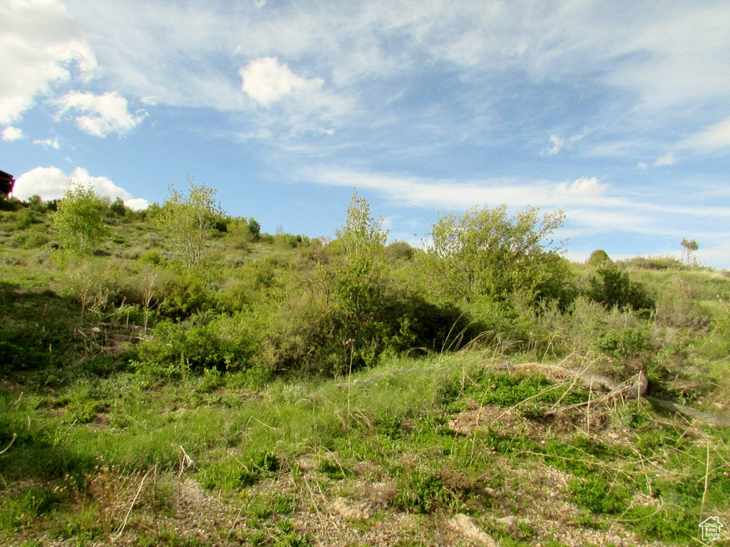 View of landscape
