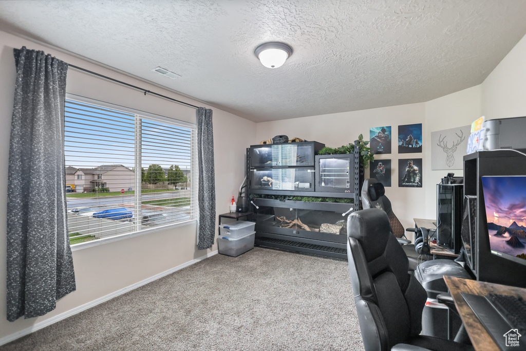 Home office with carpet flooring, a textured ceiling, and baseboards