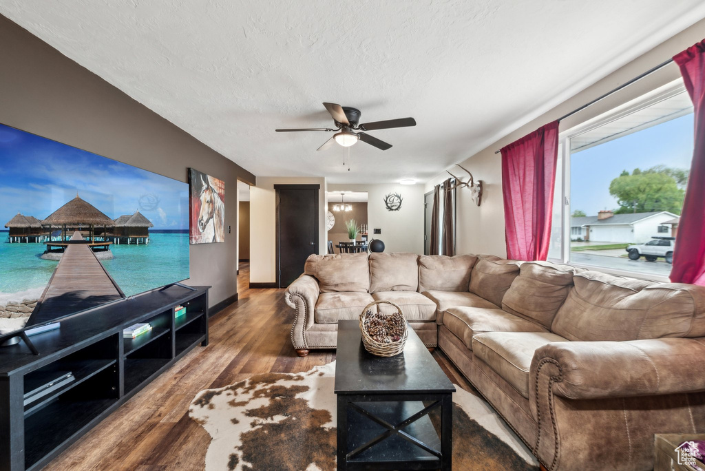 Living area featuring wood finished floors, ceiling fan, a textured ceiling, and a chandelier