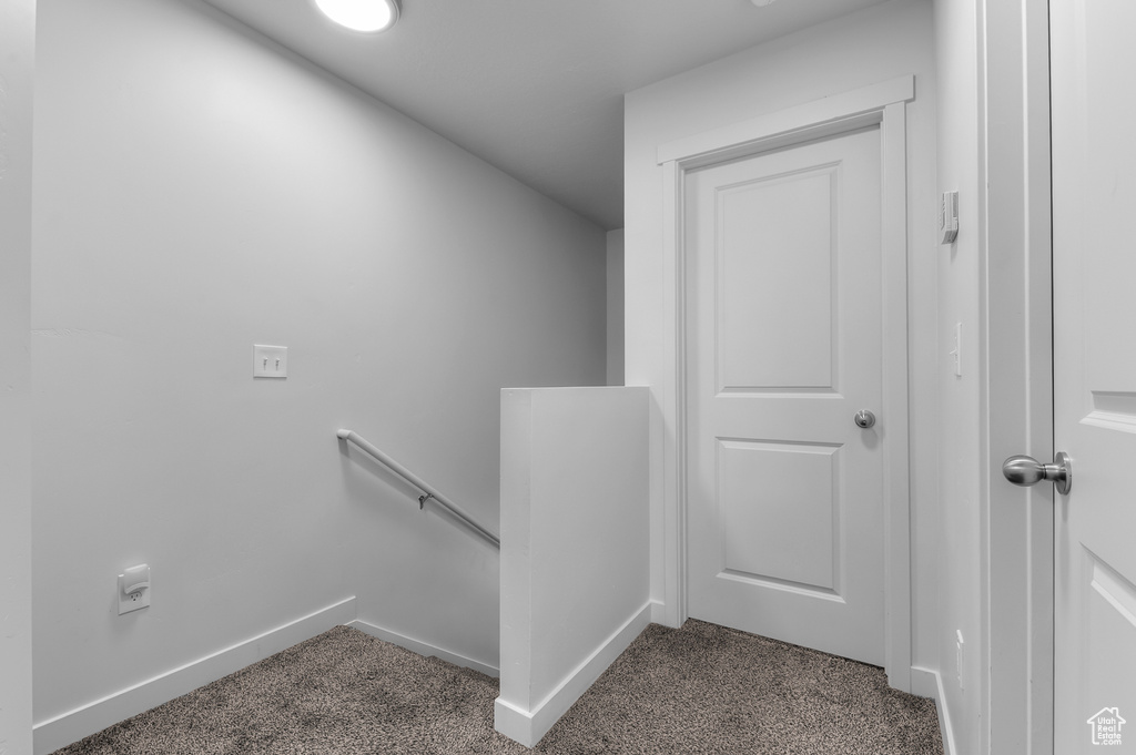 Stairway with carpet flooring and baseboards