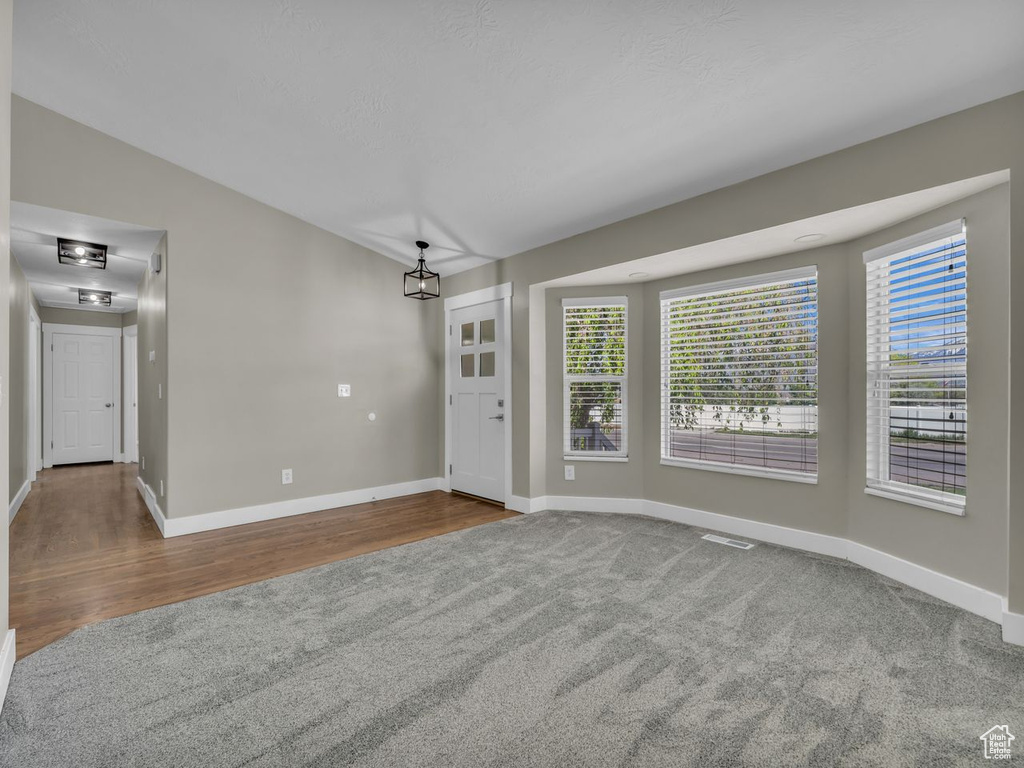 Interior space featuring carpet, wood finished floors, baseboards, and a healthy amount of sunlight