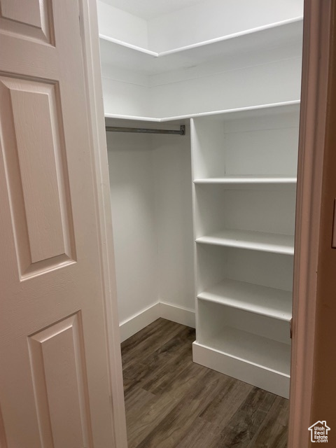 Spacious closet with dark wood-type flooring
