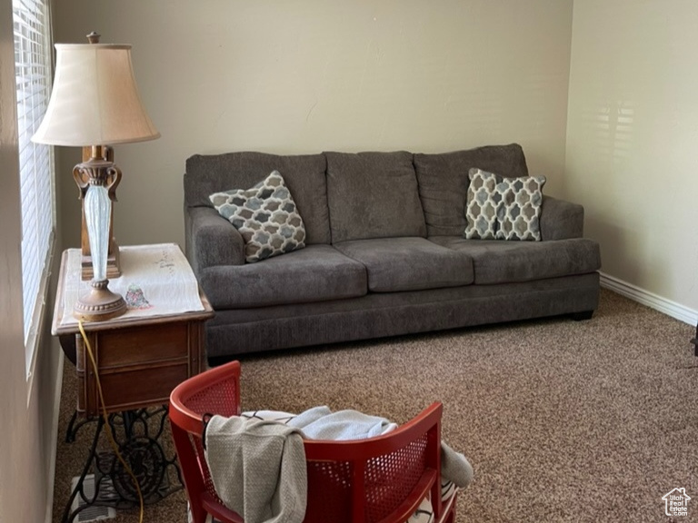 Carpeted living area with plenty of natural light and baseboards