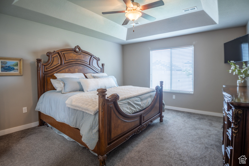 Bedroom with a tray ceiling, carpet flooring, baseboards, and a ceiling fan