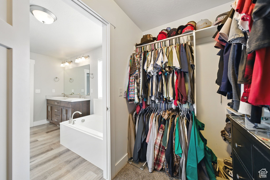 Spacious closet featuring a sink and light wood-type flooring