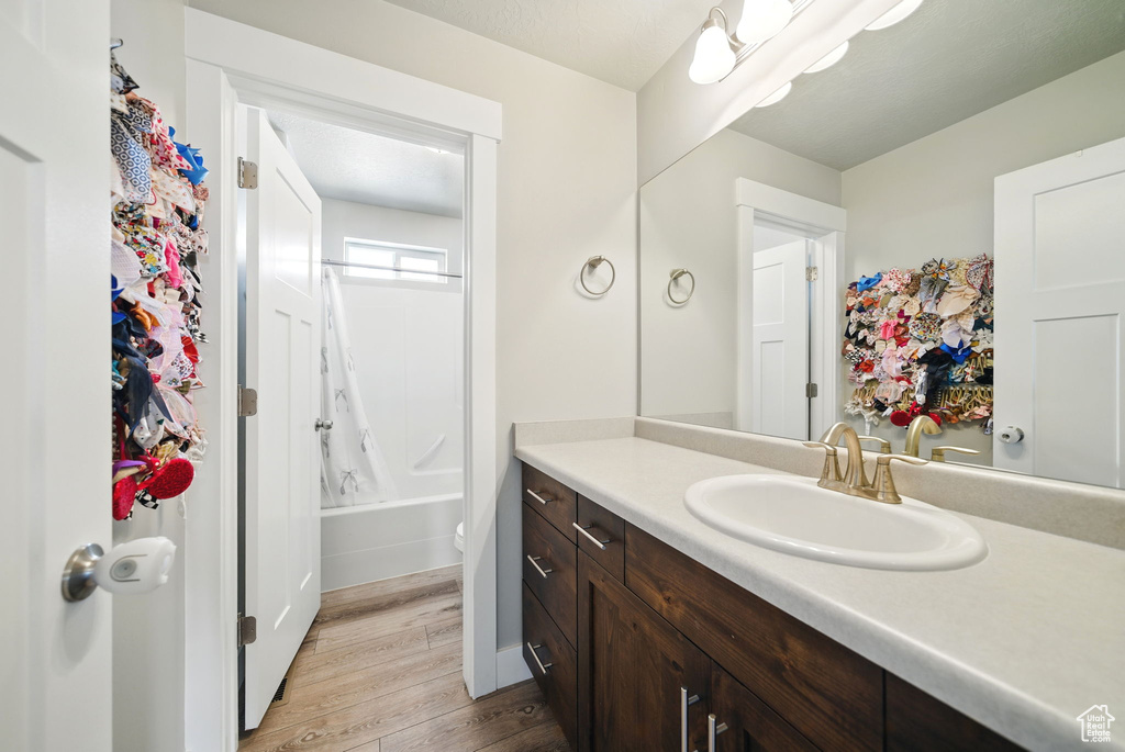 Bathroom with wood finished floors and vanity