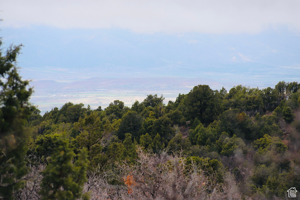 View of woods