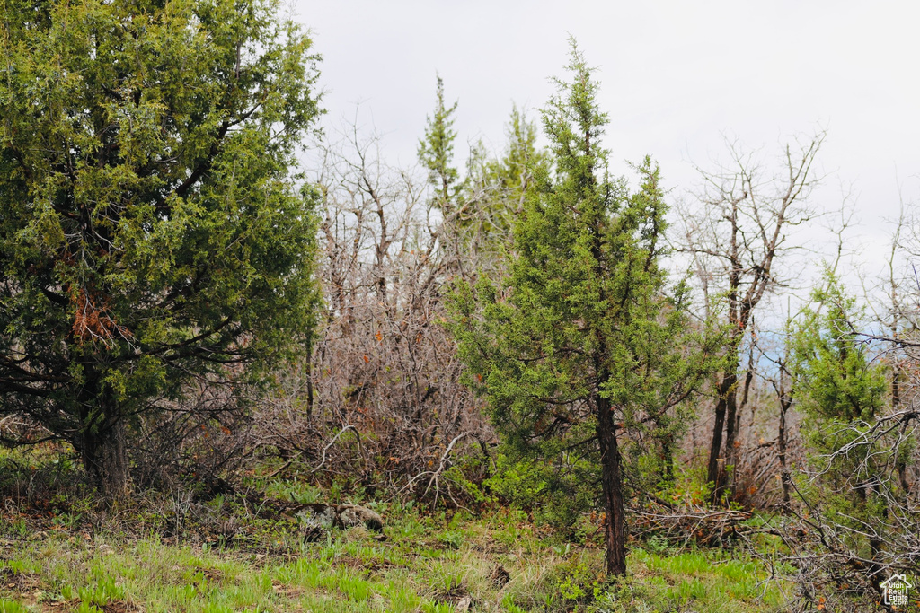View of undeveloped land