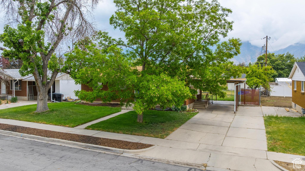 View of property hidden behind natural elements with driveway