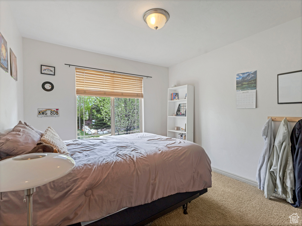 Bedroom featuring carpet floors