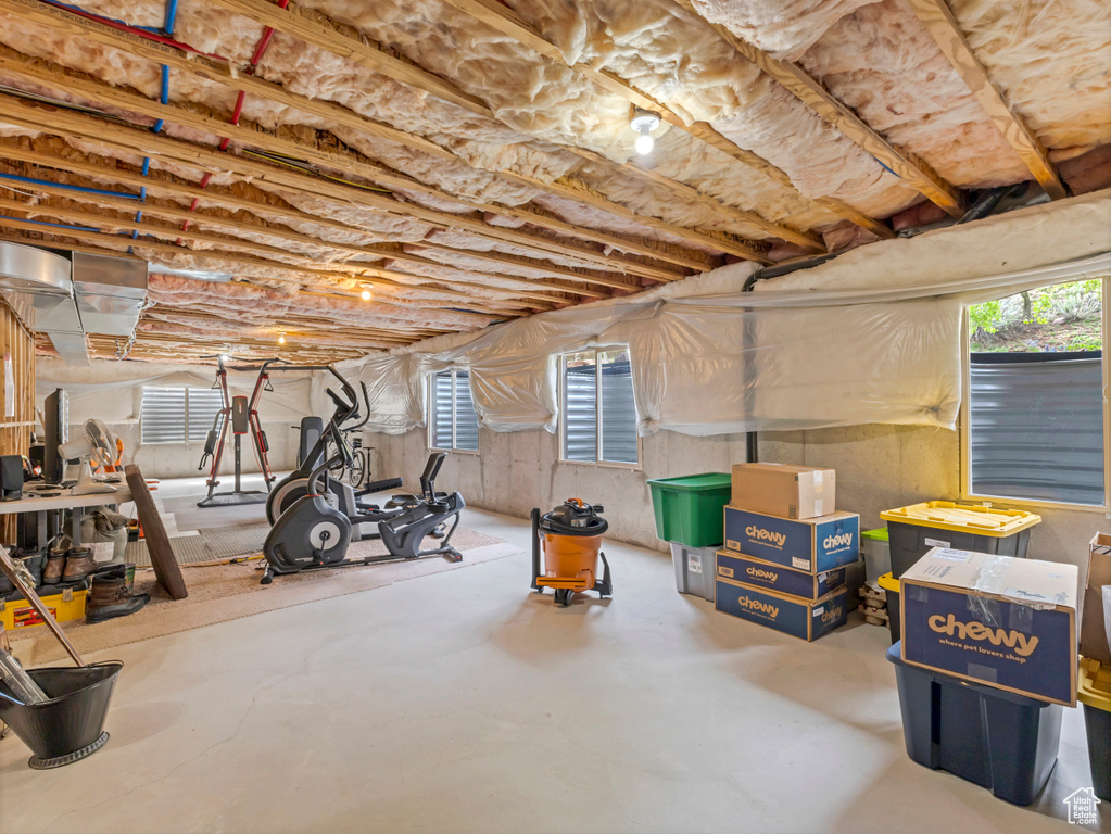 Basement with healthy amount of natural light