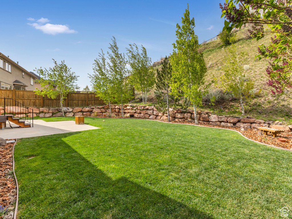 View of yard featuring a patio