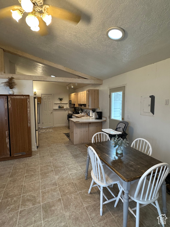 Dining room with a textured ceiling