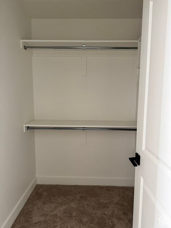 Spacious closet with carpet flooring