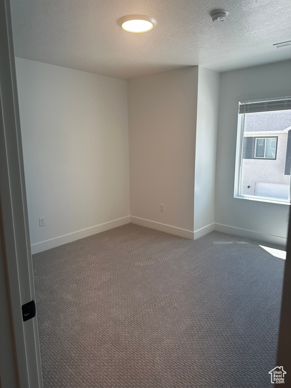 Spare room with carpet, a smoke detector, baseboards, and a textured ceiling