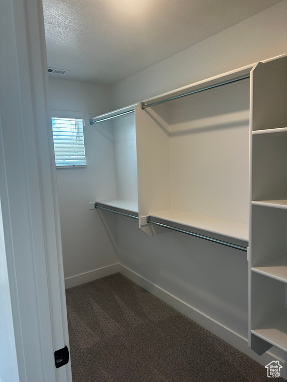 Walk in closet with dark carpet
