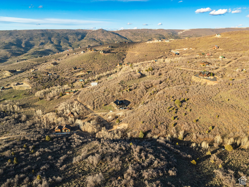 View of mountain background